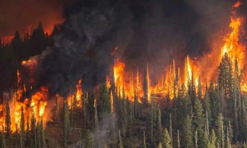 Κλιματική αλλαγή: Τεράστιες φωτιές στην τάιγκα της Σιβηρίας